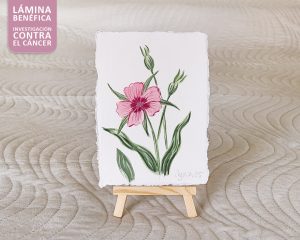 Obra benéfica - Agrostemma
