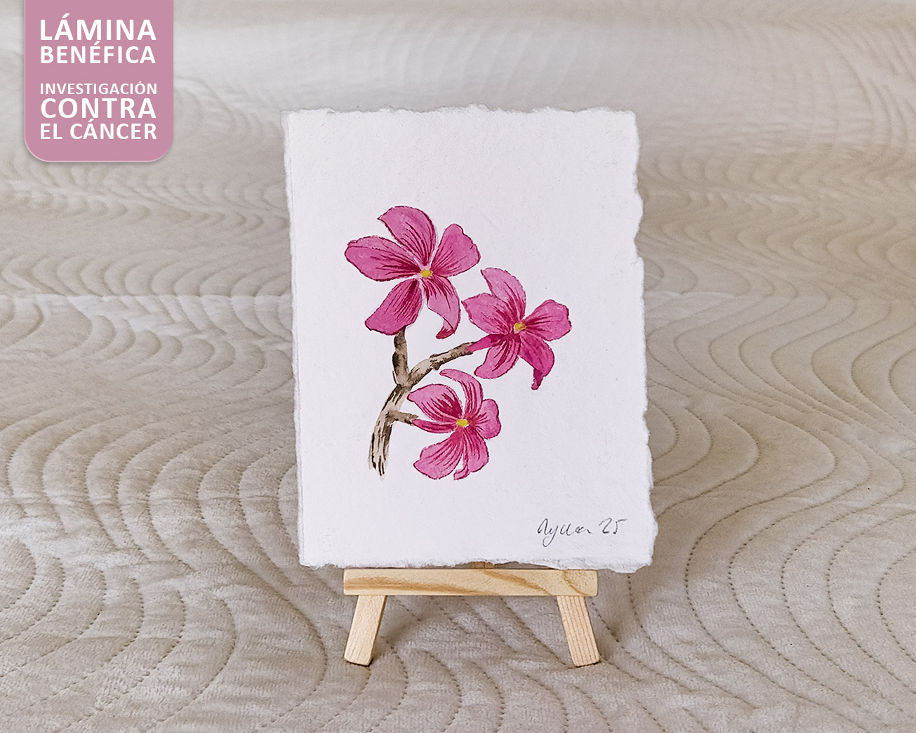 Obra benéfica - Plumeria