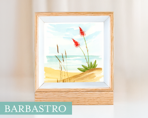 03 / Paisaje de verano (Barbastro)