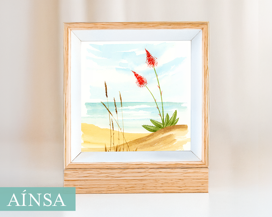 ainsa_