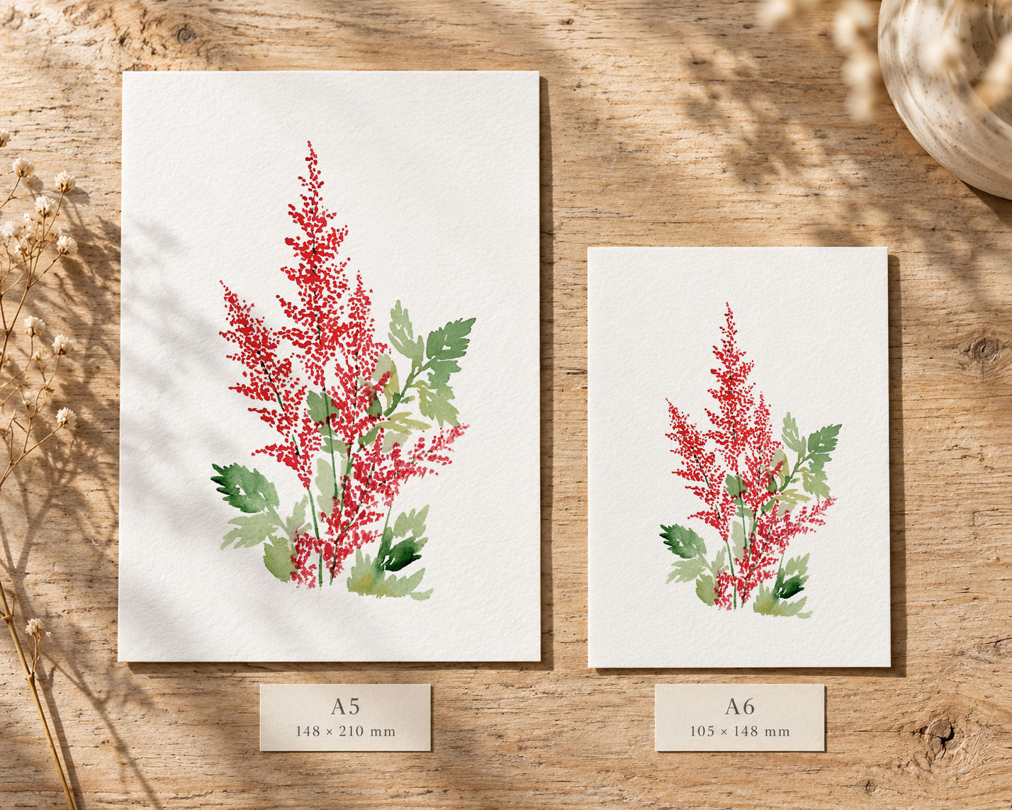 astilbe