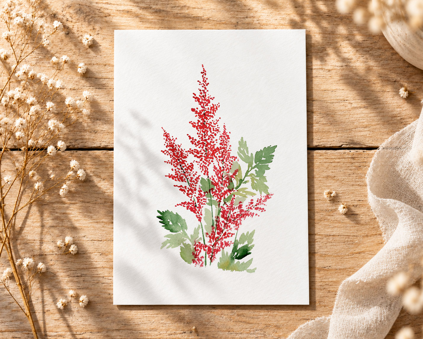 Astilbe