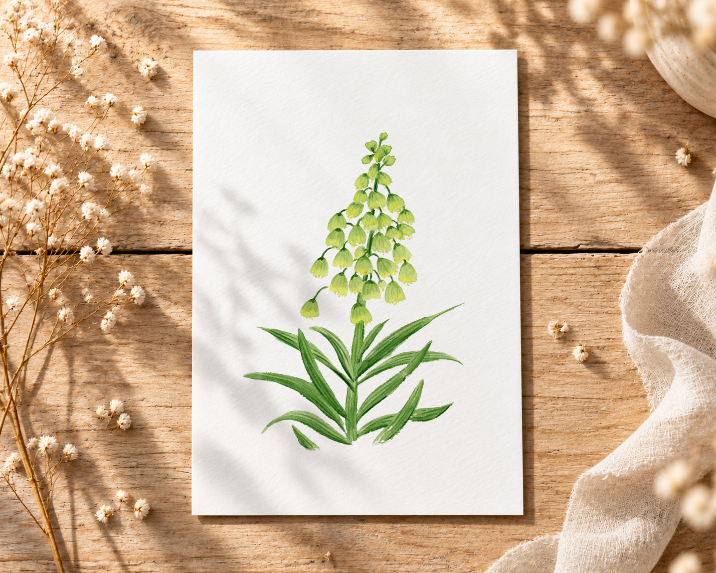 Fritilaria