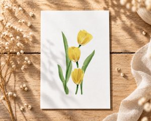 Tulipán
